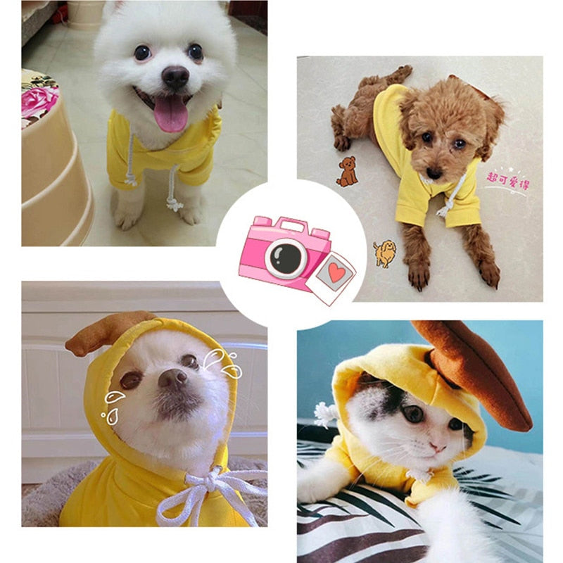 Cute Winter Fruit Jacket For Dogs