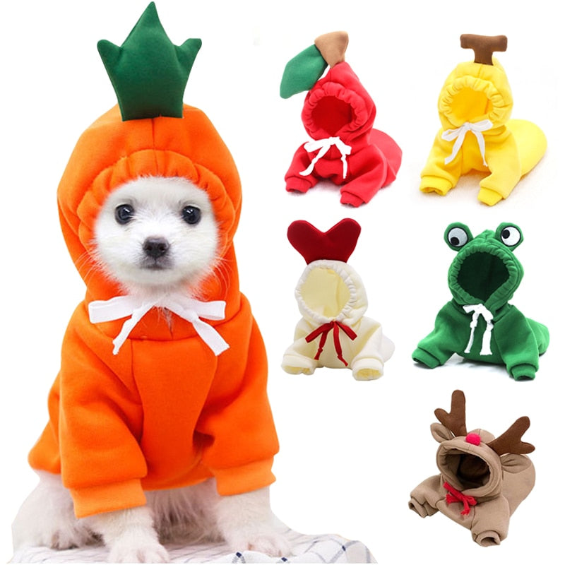 Cute Winter Fruit Jacket For Dogs