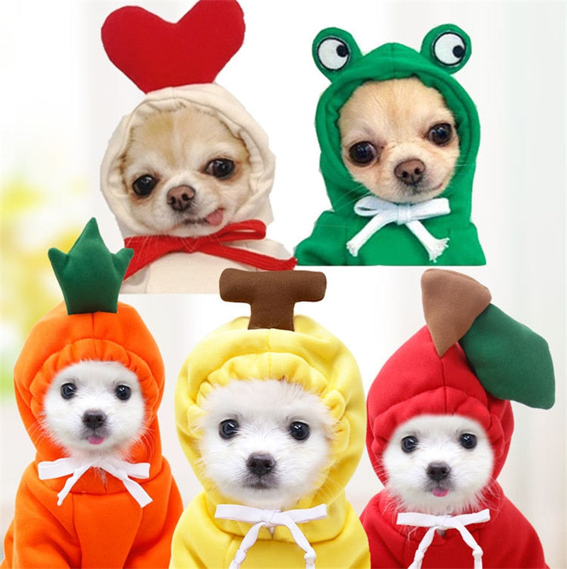 Cute Winter Fruit Jacket For Dogs