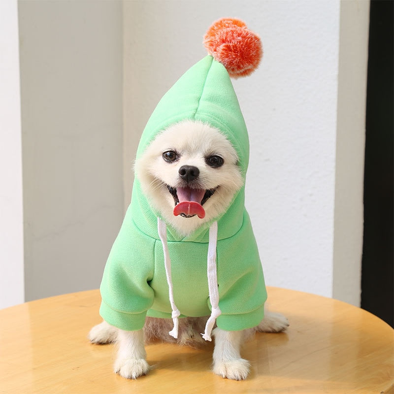 Cute Winter Fruit Jacket For Dogs