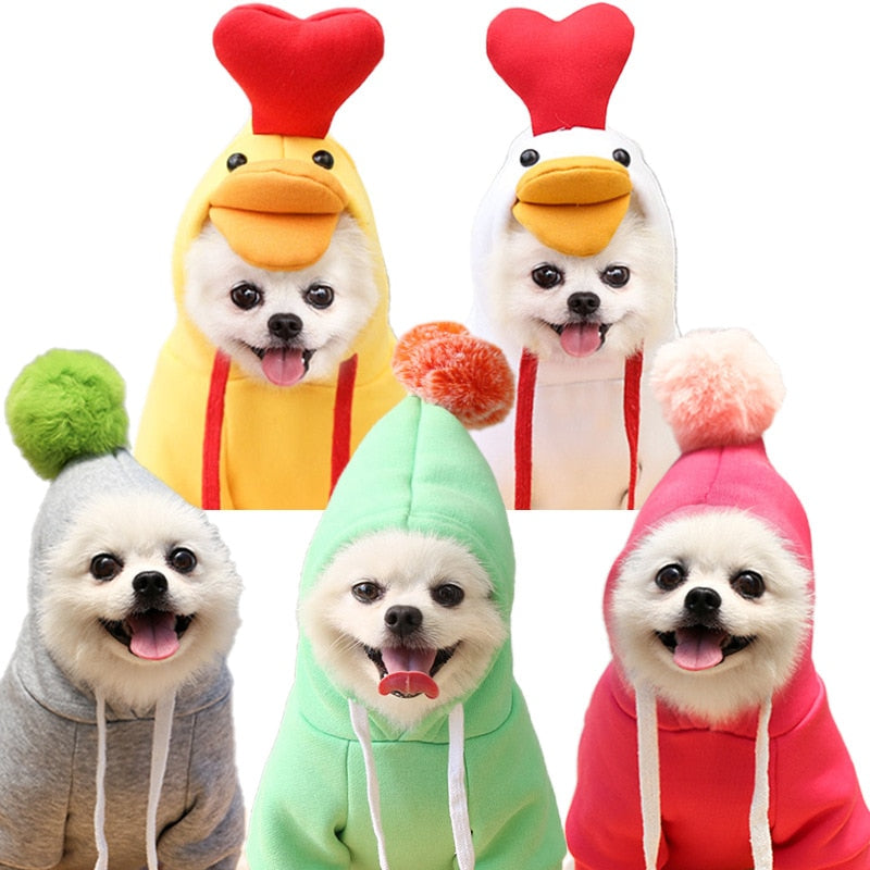 Cute Winter Fruit Jacket For Dogs