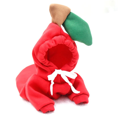 Cute Winter Fruit Jacket For Dogs