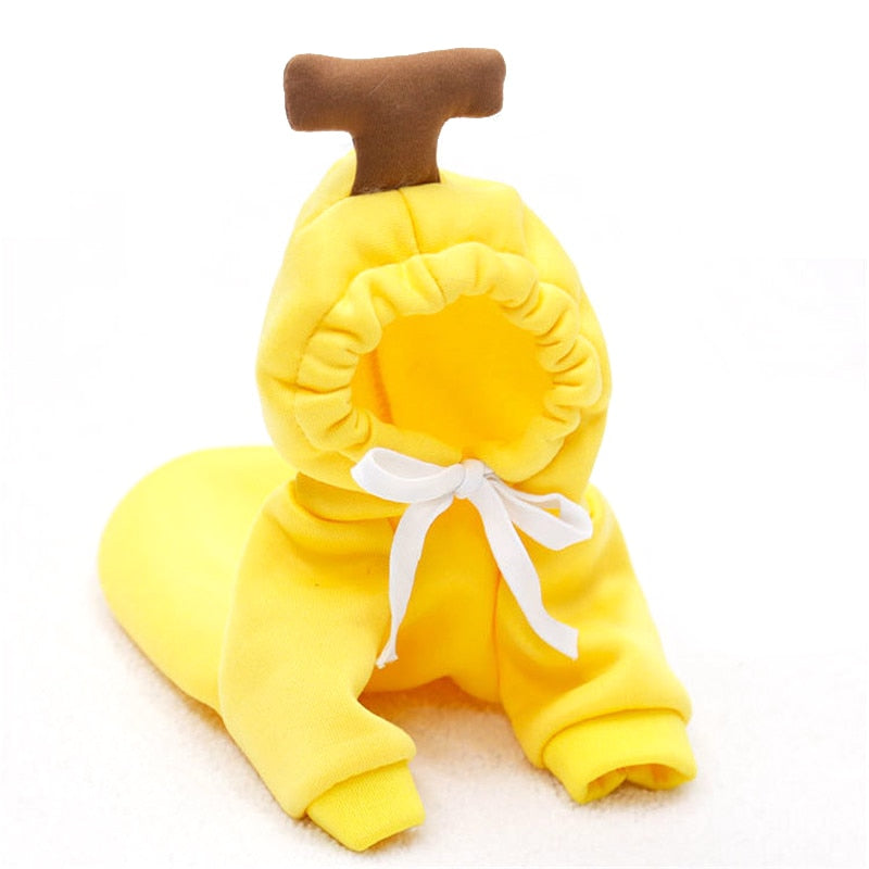 Cute Winter Fruit Jacket For Dogs