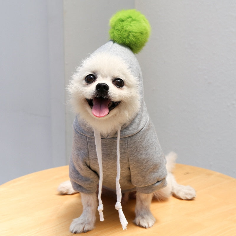 Cute Winter Fruit Jacket For Dogs