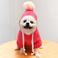 Cute Winter Fruit Jacket For Dogs