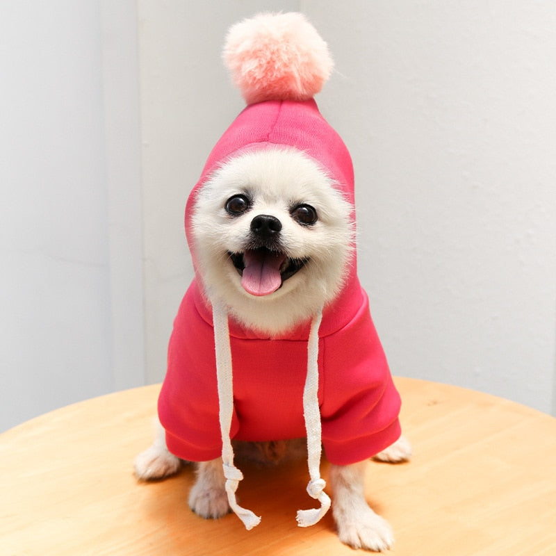 Cute Winter Fruit Jacket For Dogs