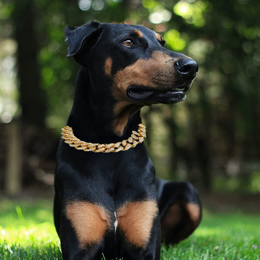 Stylish Diamond Dog Collar